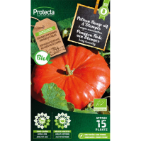 Pompoen Rode van Etampes BIO