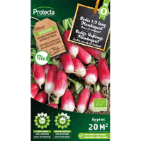 Radijs Haflange Flamboyant BIO Radijs Haflange Flamboyant BIO