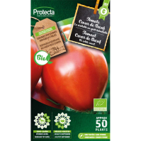 Tomaat Cœur de Bœuf BIO