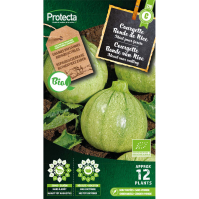 Courgette Ronde van Nice BIO