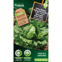 Ijsbergsla Great Lakes