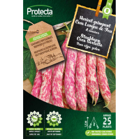 Staakboon Coco Borlotto 25 g