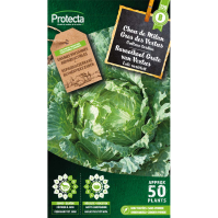 Savooikool Grote van Vertus