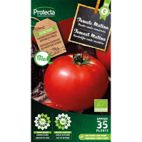 Tomaat Matina BIO