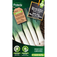 WinterPrei Blauwe van Solaise