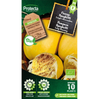 Pompoen Spaghetti BIO