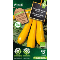 Courgette Gele BIO
