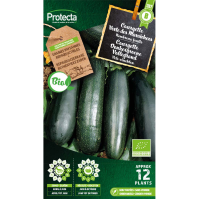 Courgette Donkergroene Vollegrond BIO