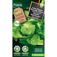 Kropsla Winterwonder BIO