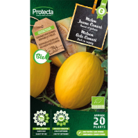 Meloen Gele Canari BIO