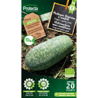 Watermeloen voor confituur BIO