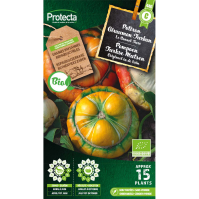 Pompoen Turkse Mutsen BIO  