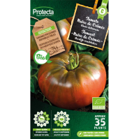 Tomaat "Noire de Crimée" BIO 