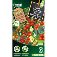 Tomate Cocktail cherry BIO