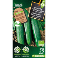 Komkommer  Lange Engelse BIO