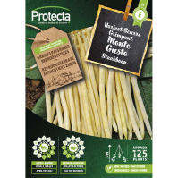 Staakboon  Monte Gusto