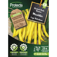 Lage Boterboon Maxidor