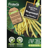 Lage Boterboon  Rocquencourt