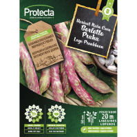 Lage Pronkboon  Borlotto Praha