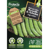 Lage erwten  Merveille de Kelvédon