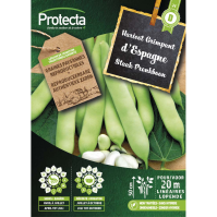 Staak Pronkboon  d'Espagne 