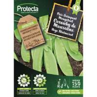 Hoge Sluimerwt Carouby de Maussane