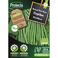 Struikboon Cupidon BIO