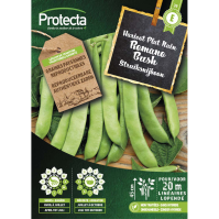 Struiksnijboon Romano Bush