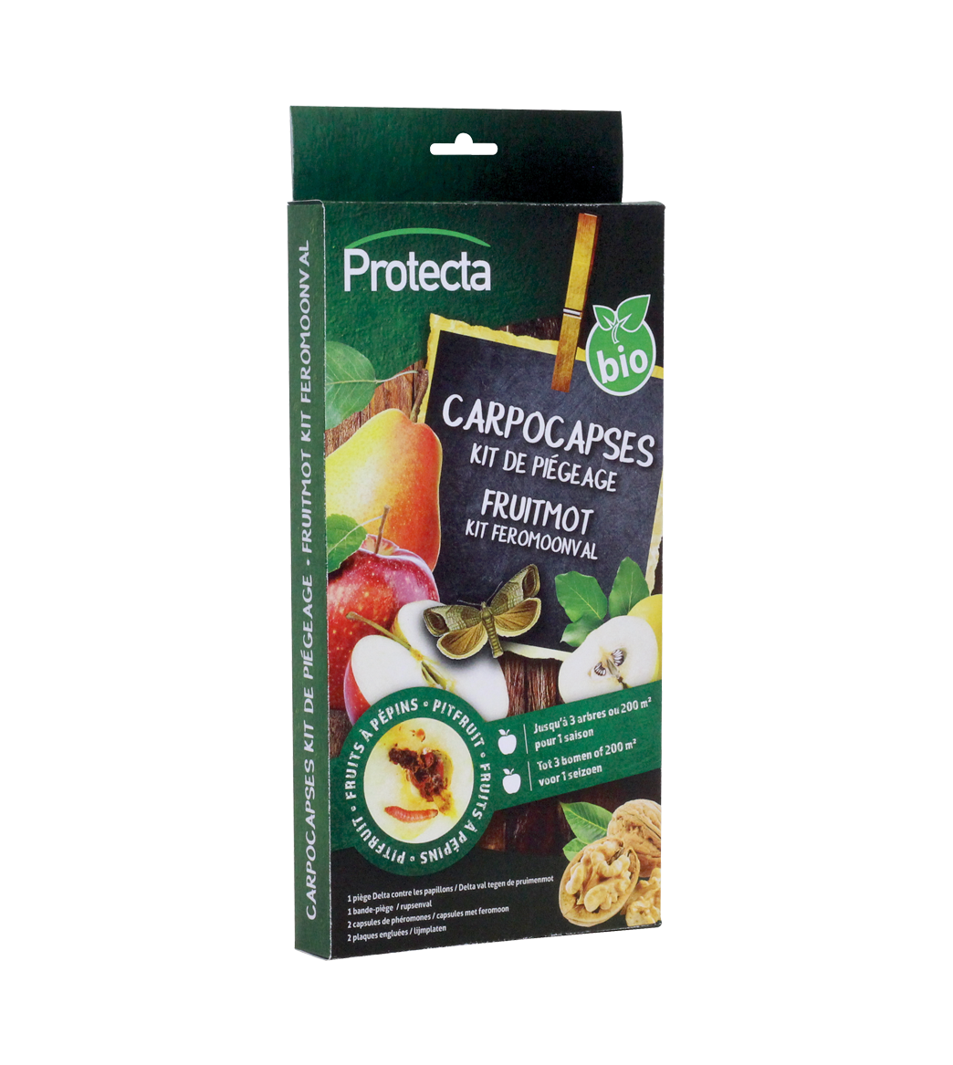 CARPOCAPSES P - KIT DE PIÉGEAGE main product photo