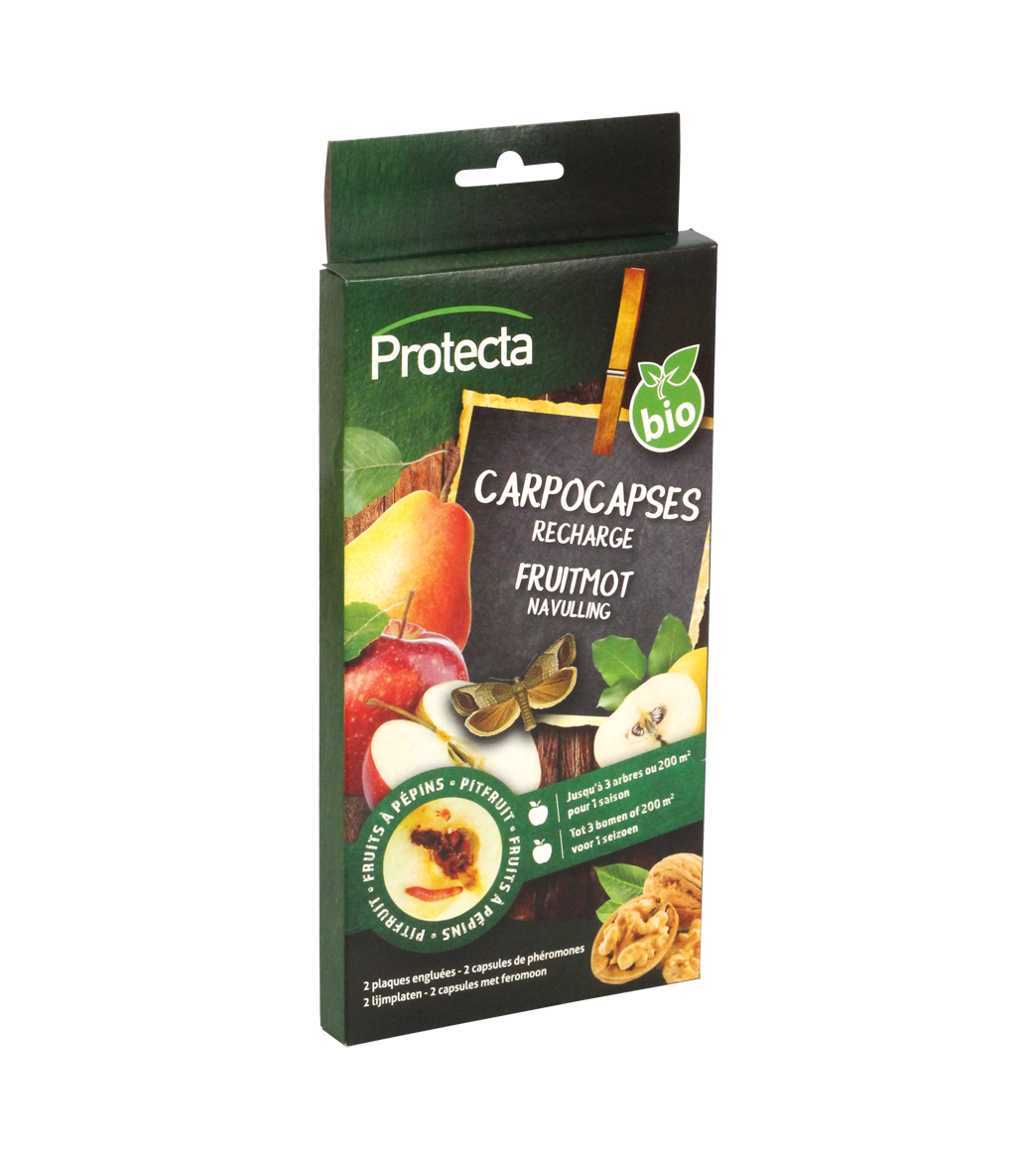 CARPOCAPSES P - RECHARGE main product photo