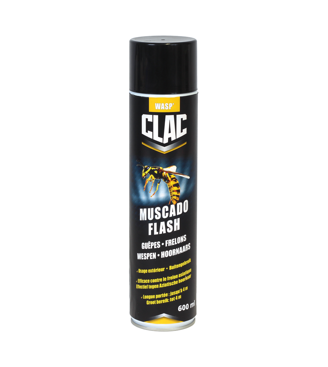 MUSCADO GUÊPES ET FRELONS main product photo