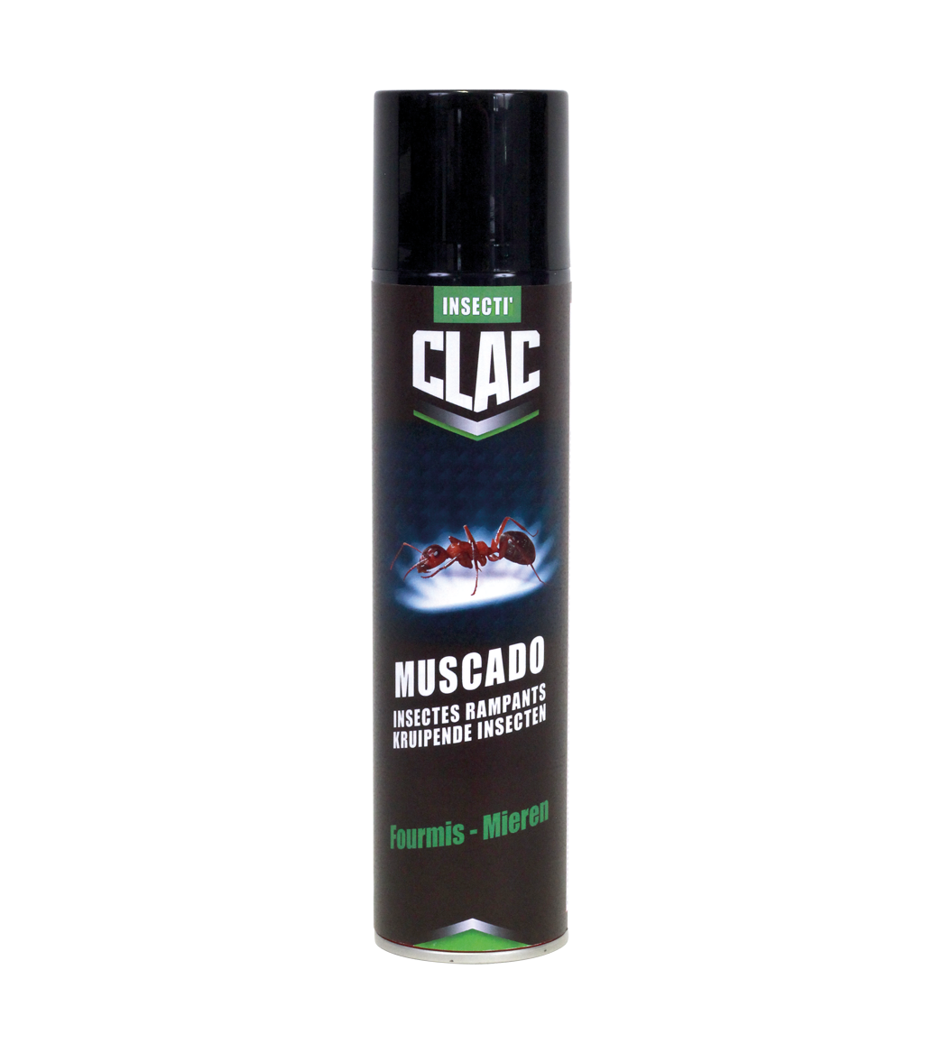 MUSCADO FOURMIS main product photo