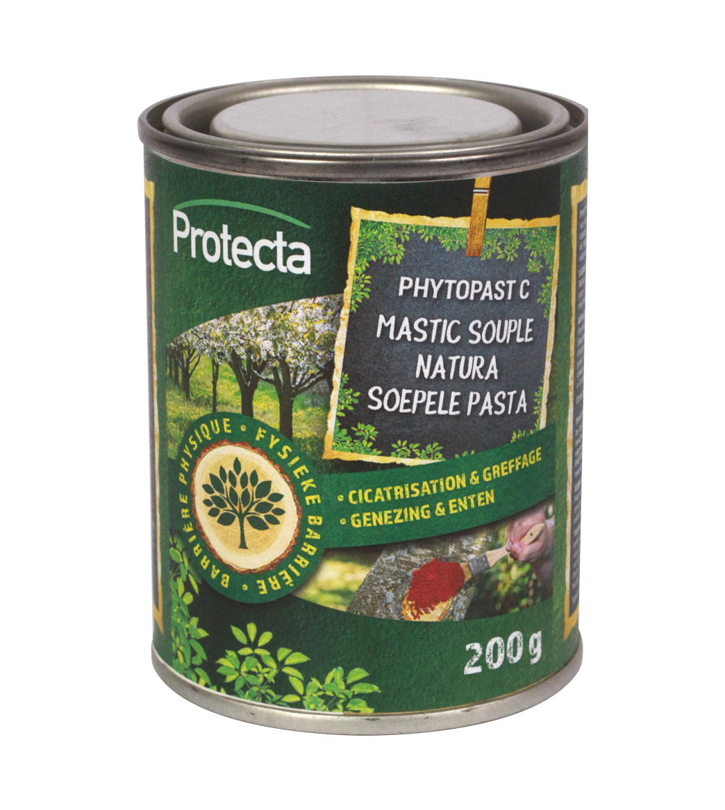 PHYTOPAST C main product photo