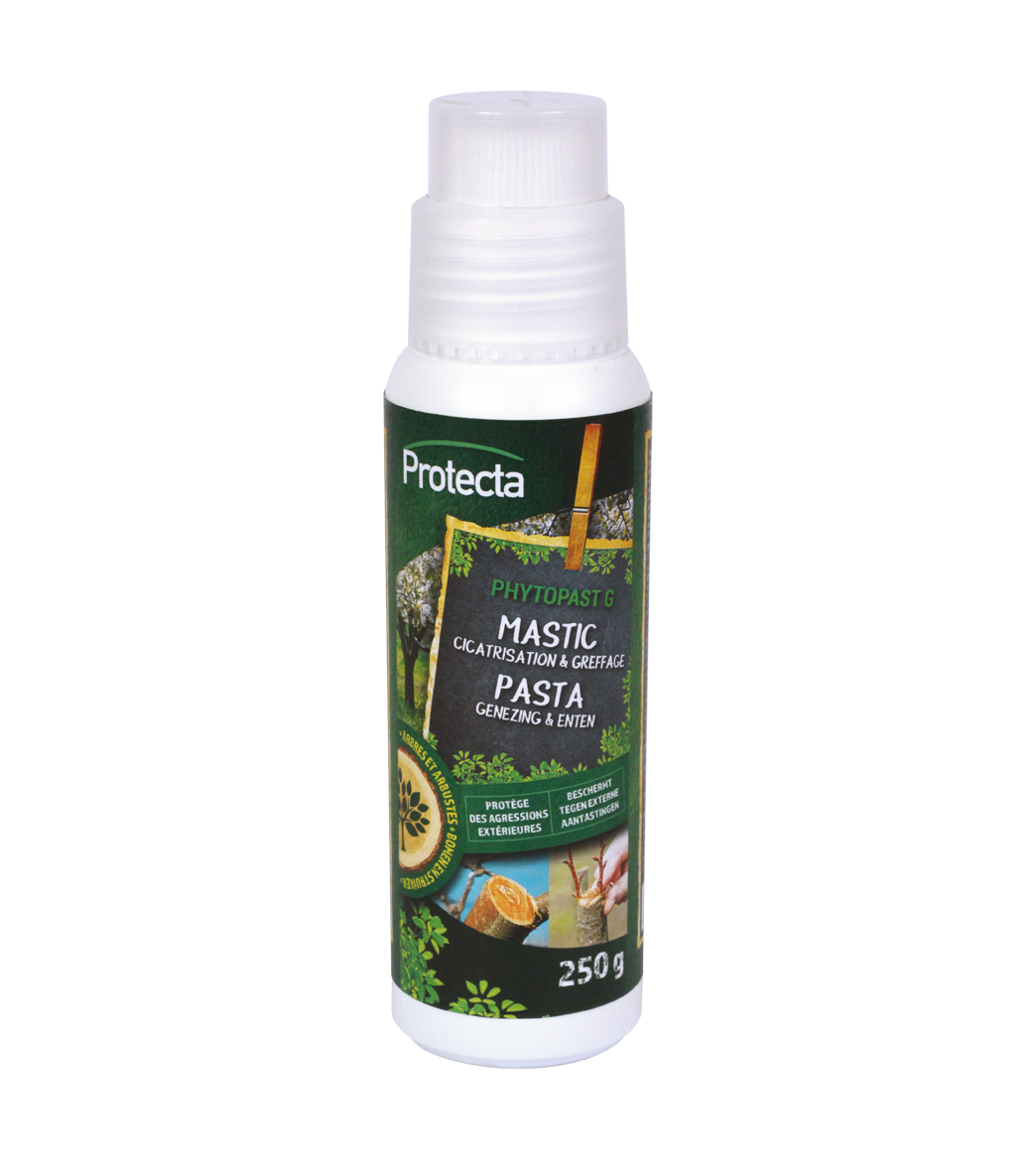 PHYTOPAST G main product photo