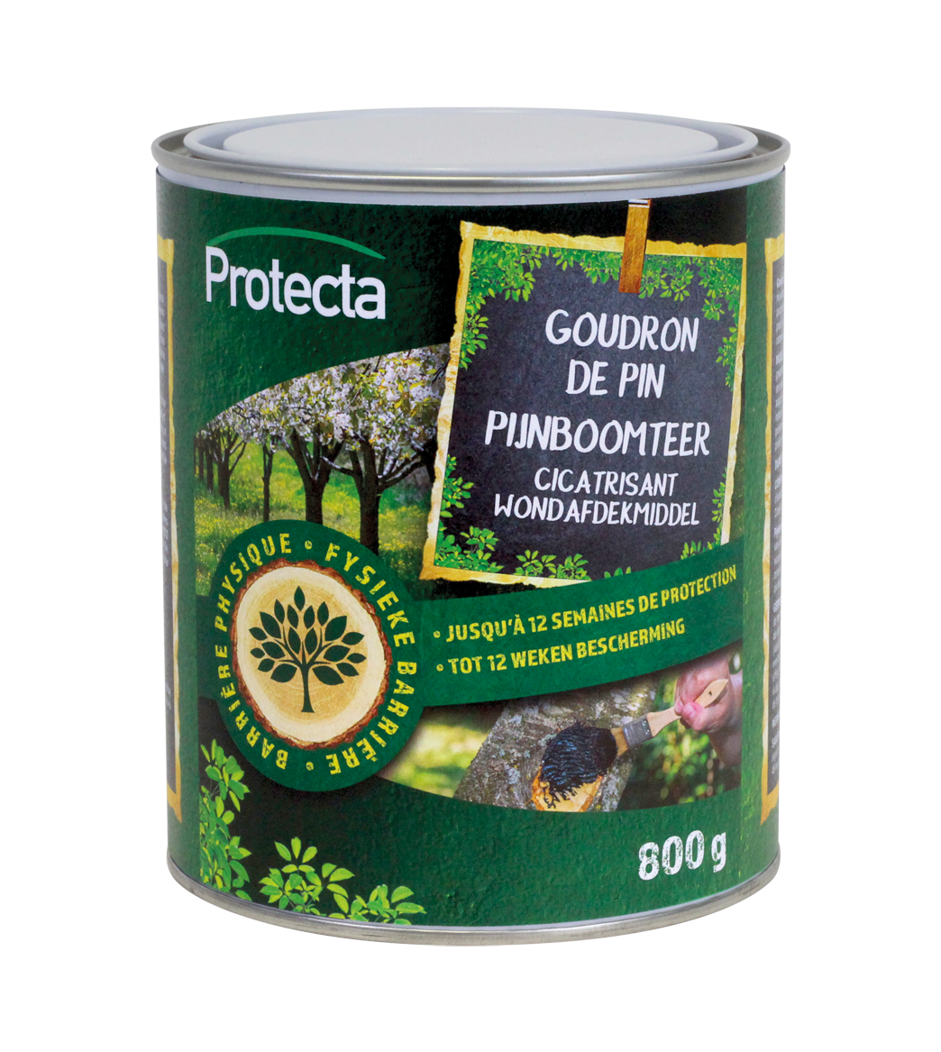 PIJNBOOMTEER PASTA main product photo