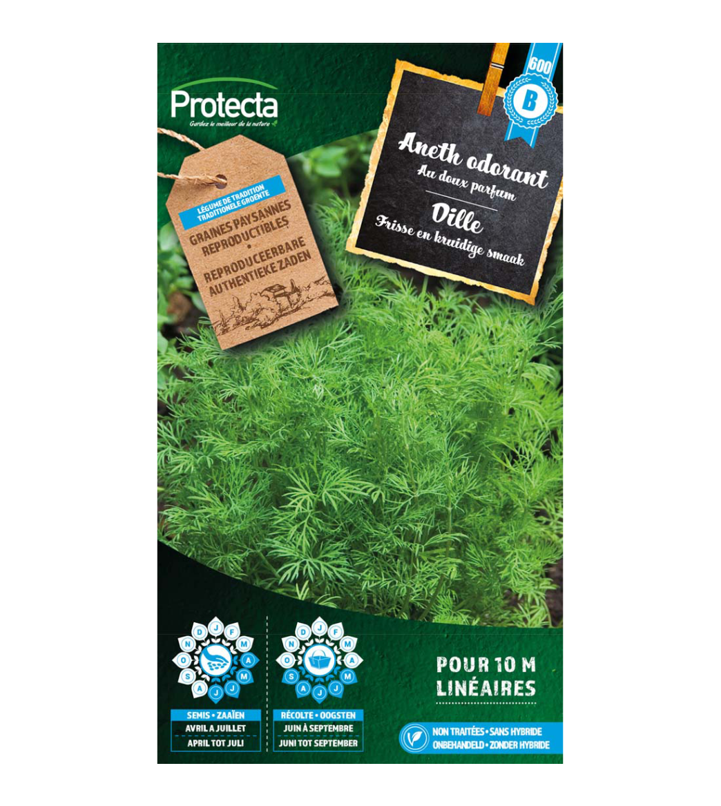 Dille main product photo