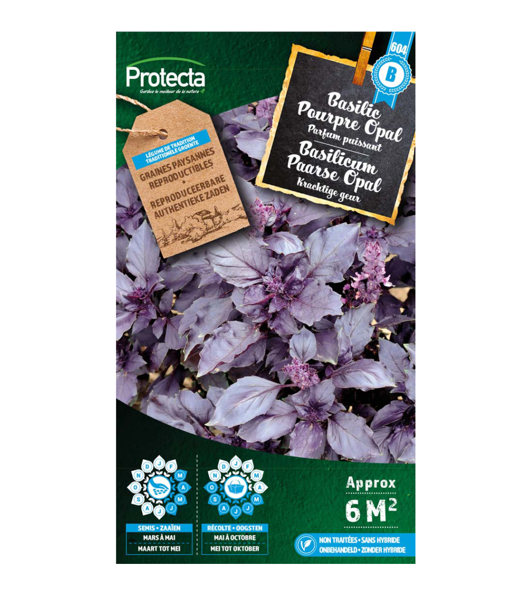 Basilic Pourpre Opal main product photo