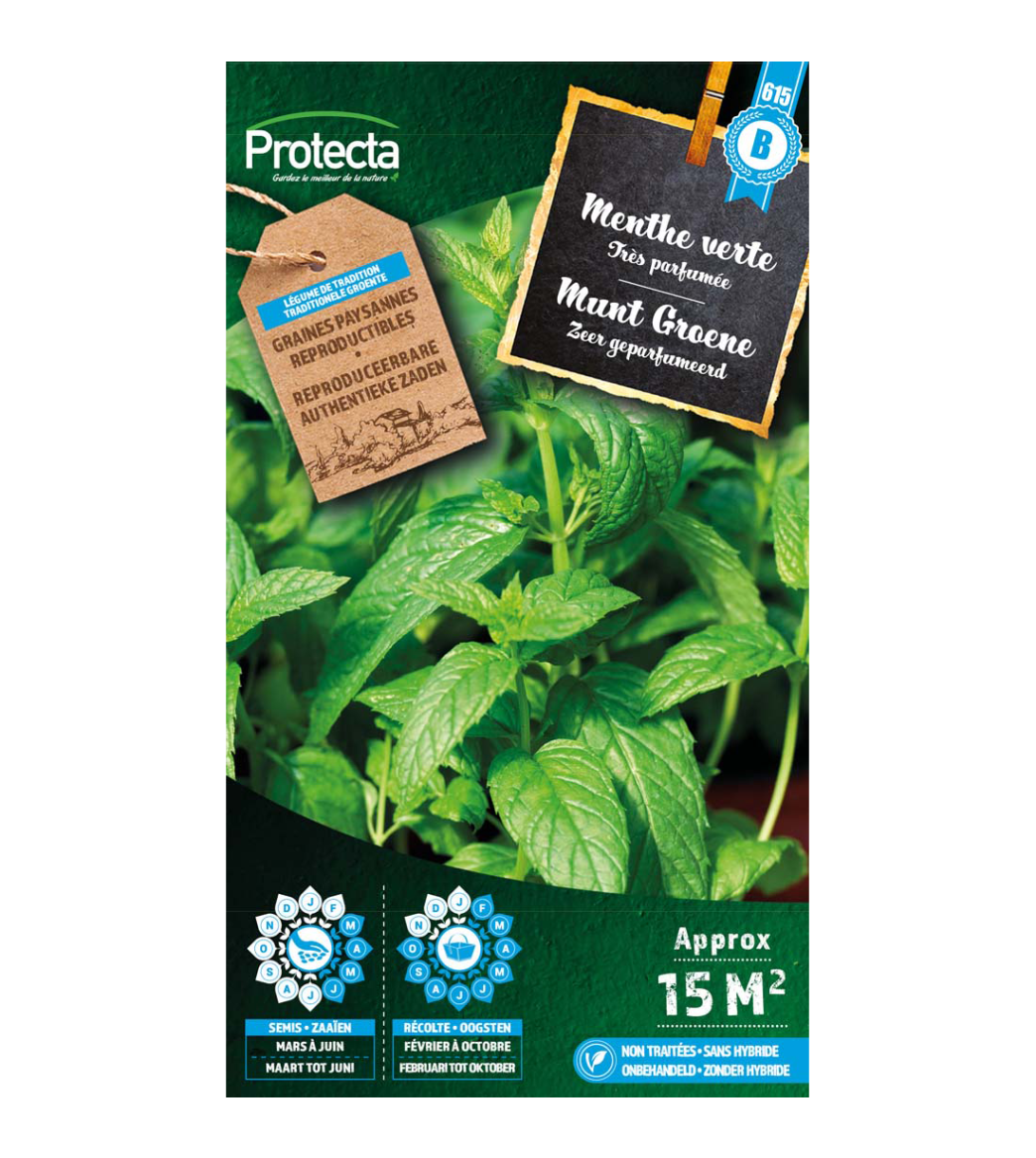 Menthe verte main product photo