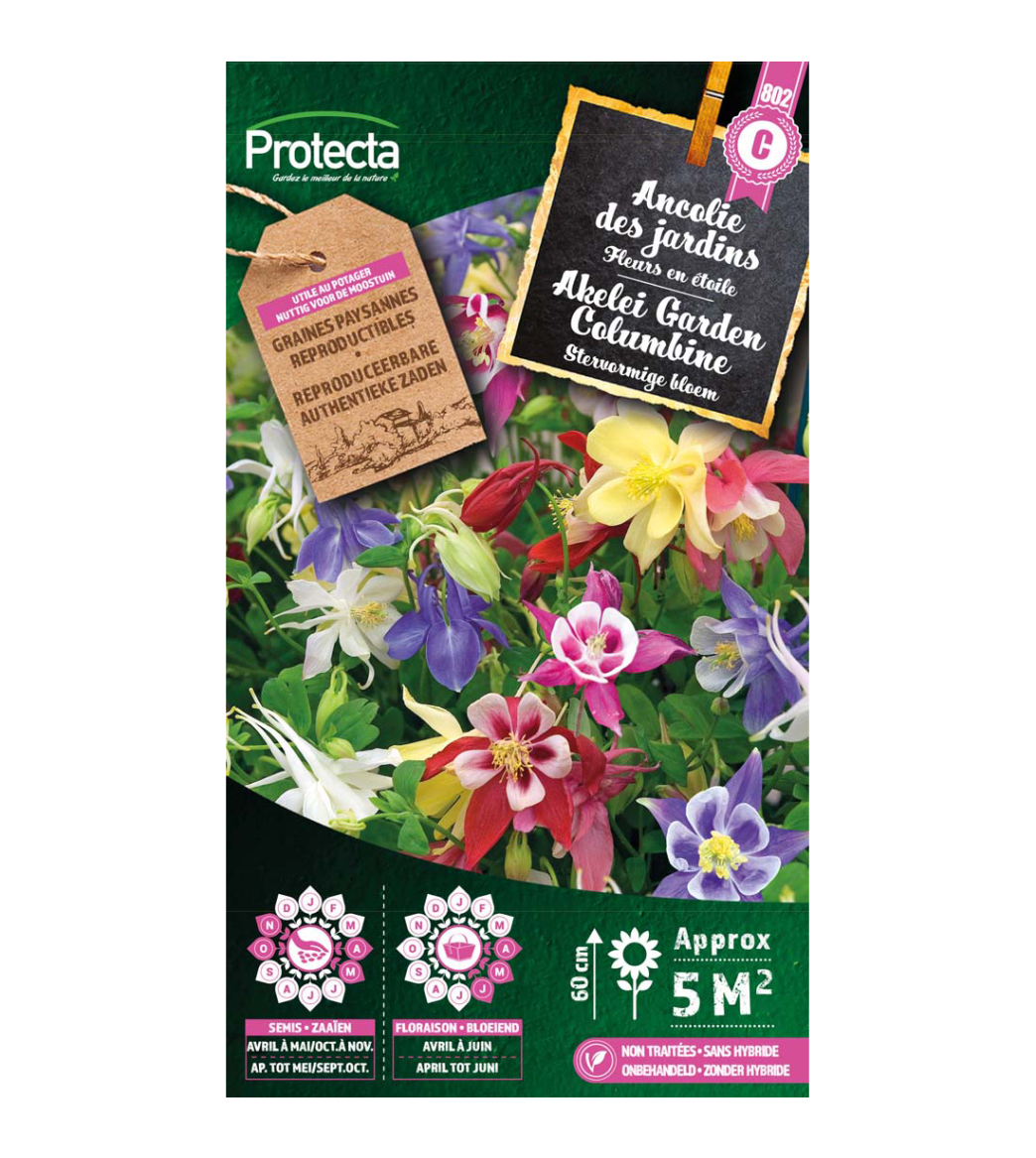 Akelei Garden Columbine main product photo