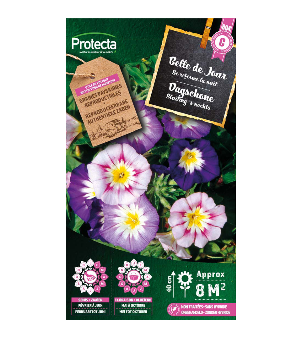 Belle de Jour main product photo