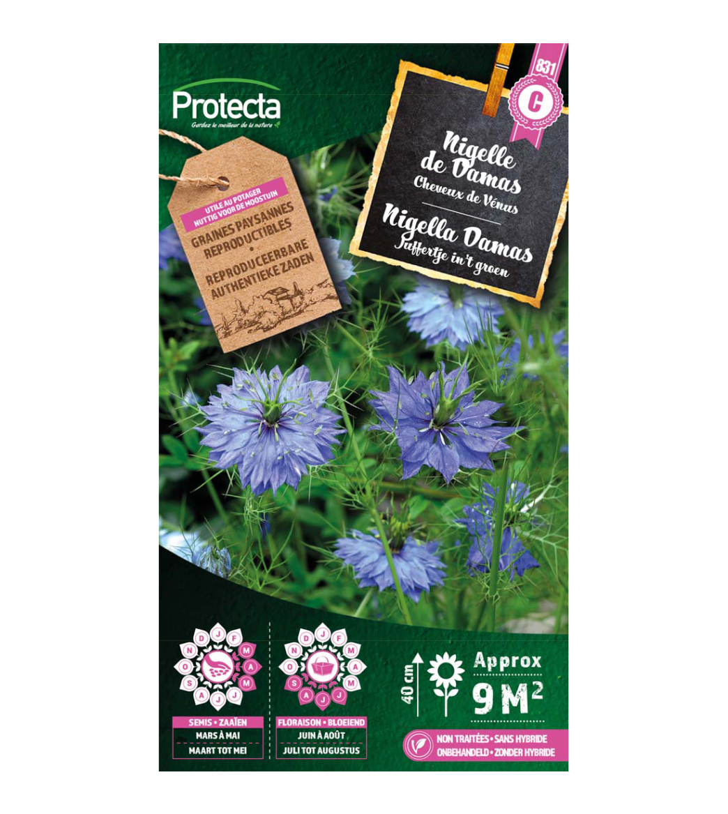 Nigella Damas main product photo