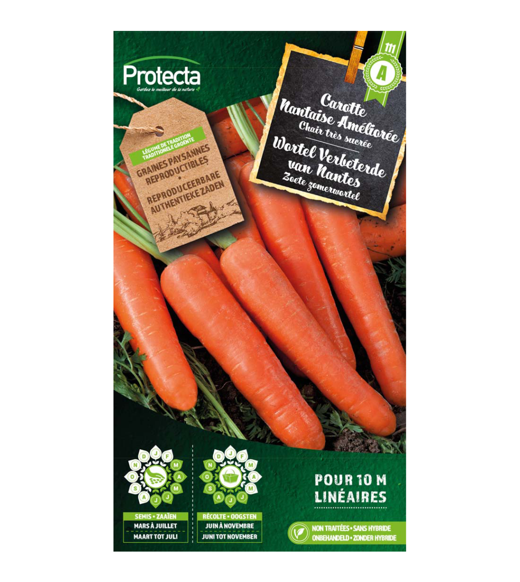 Carotte Nantaise Améliorée main product photo