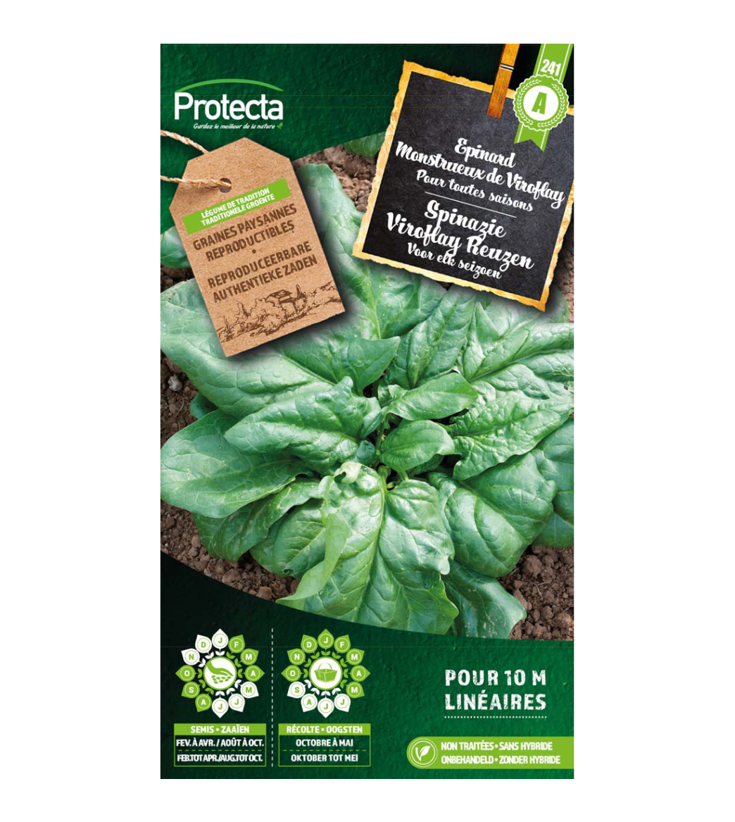 Spinazie Viroflay Reuzen main product photo