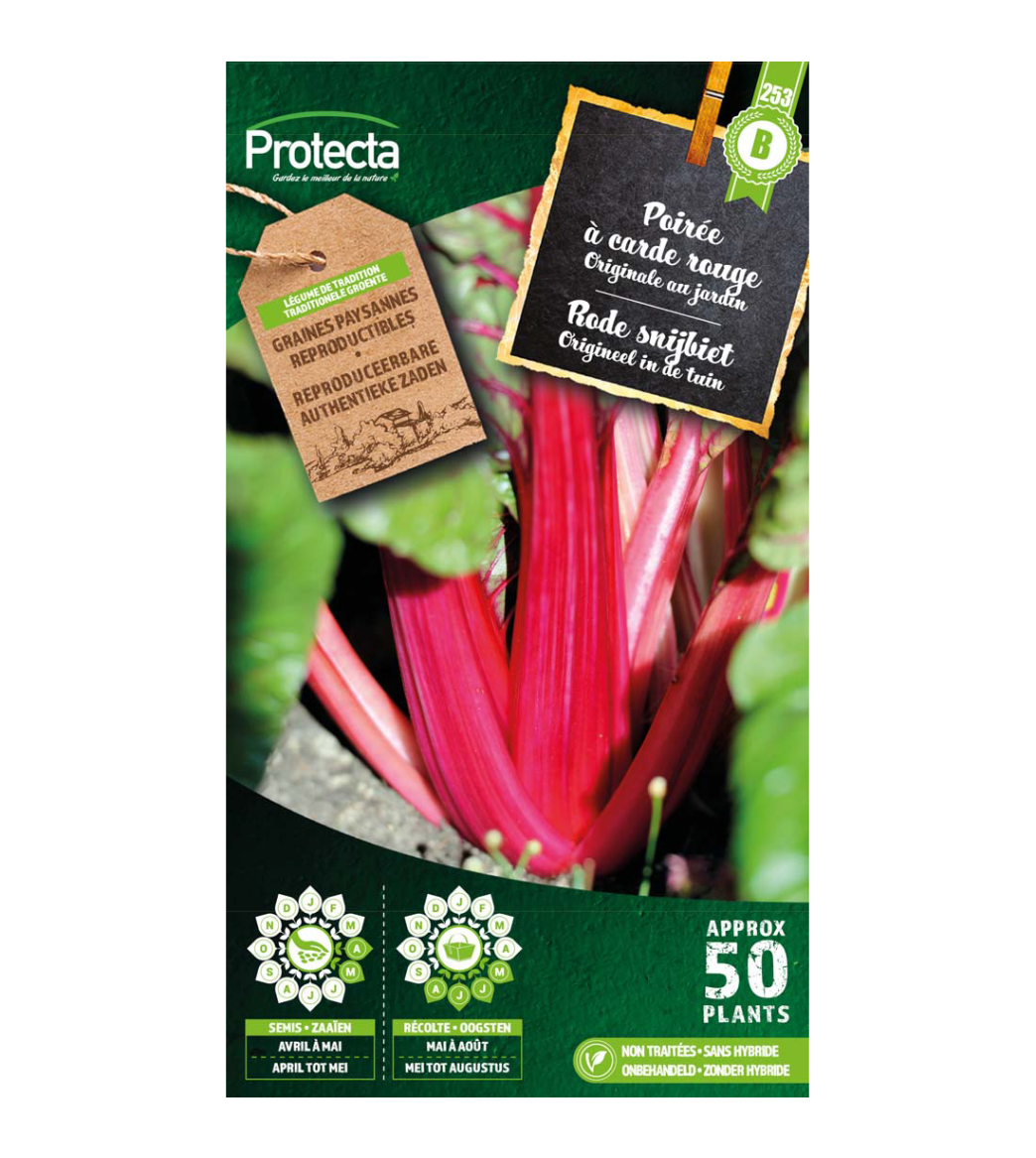 Rode snijbiet main product photo