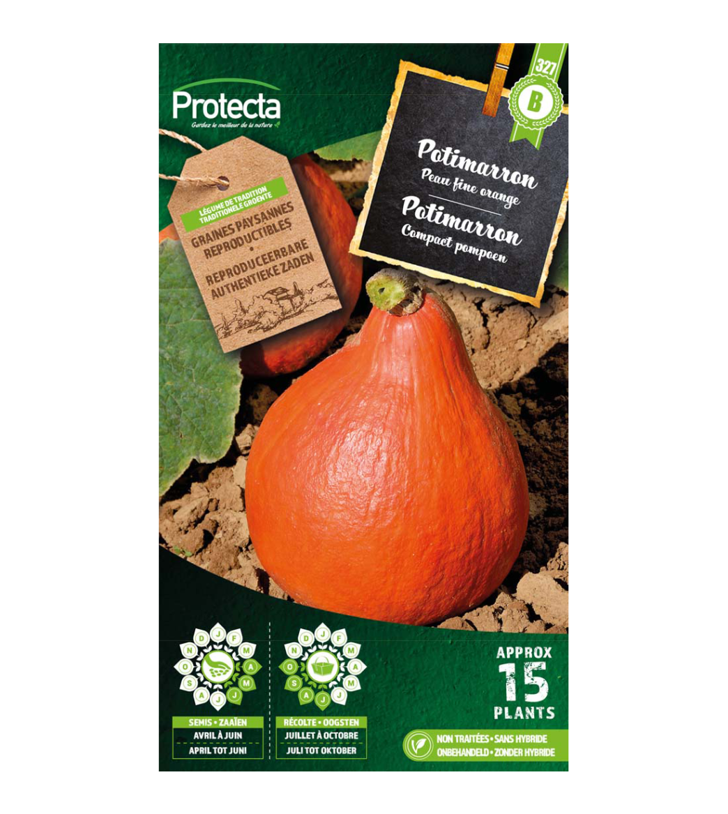 Potimarron main product photo