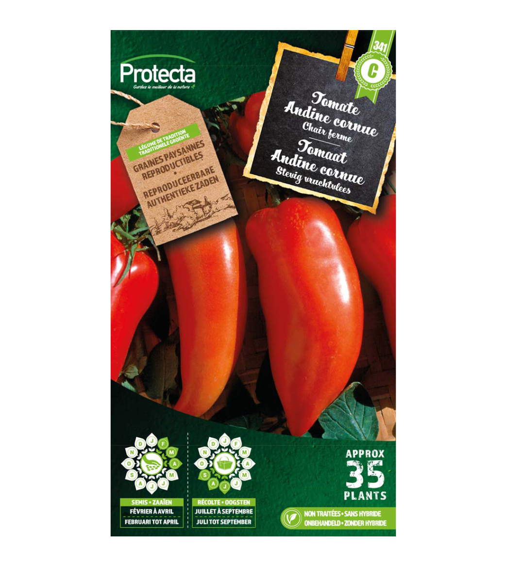 Tomaat Andine cornue main product photo