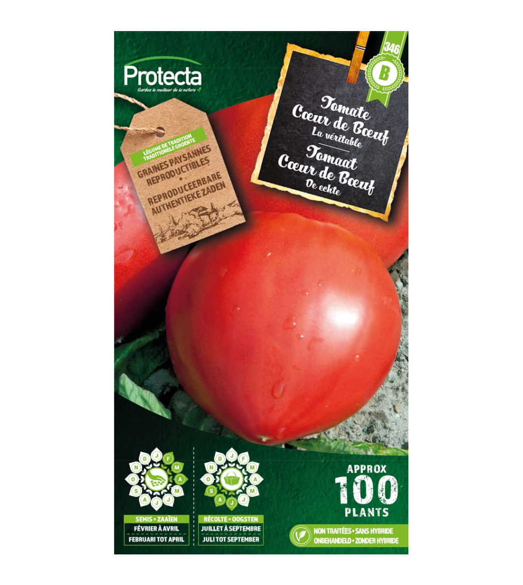 Tomate Cœur de Bœuf main product photo