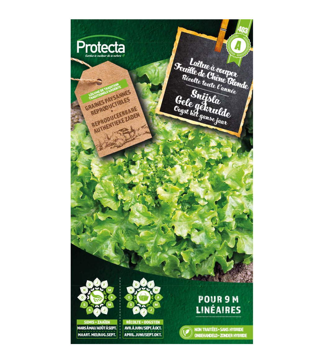 Snijsla Gele gekrulde main product photo