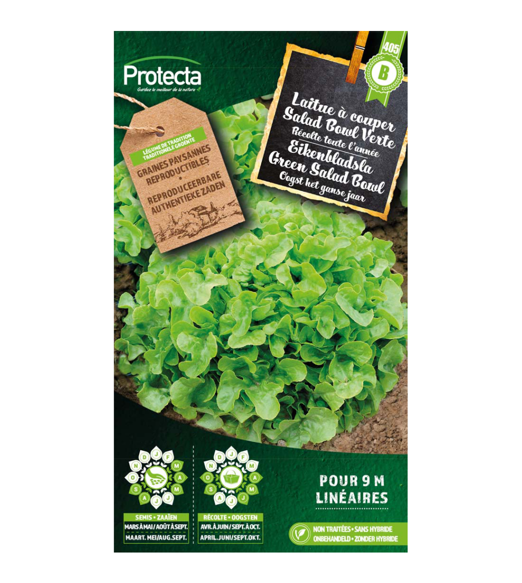 Laitue à couper Salad Bowl Verte main product photo