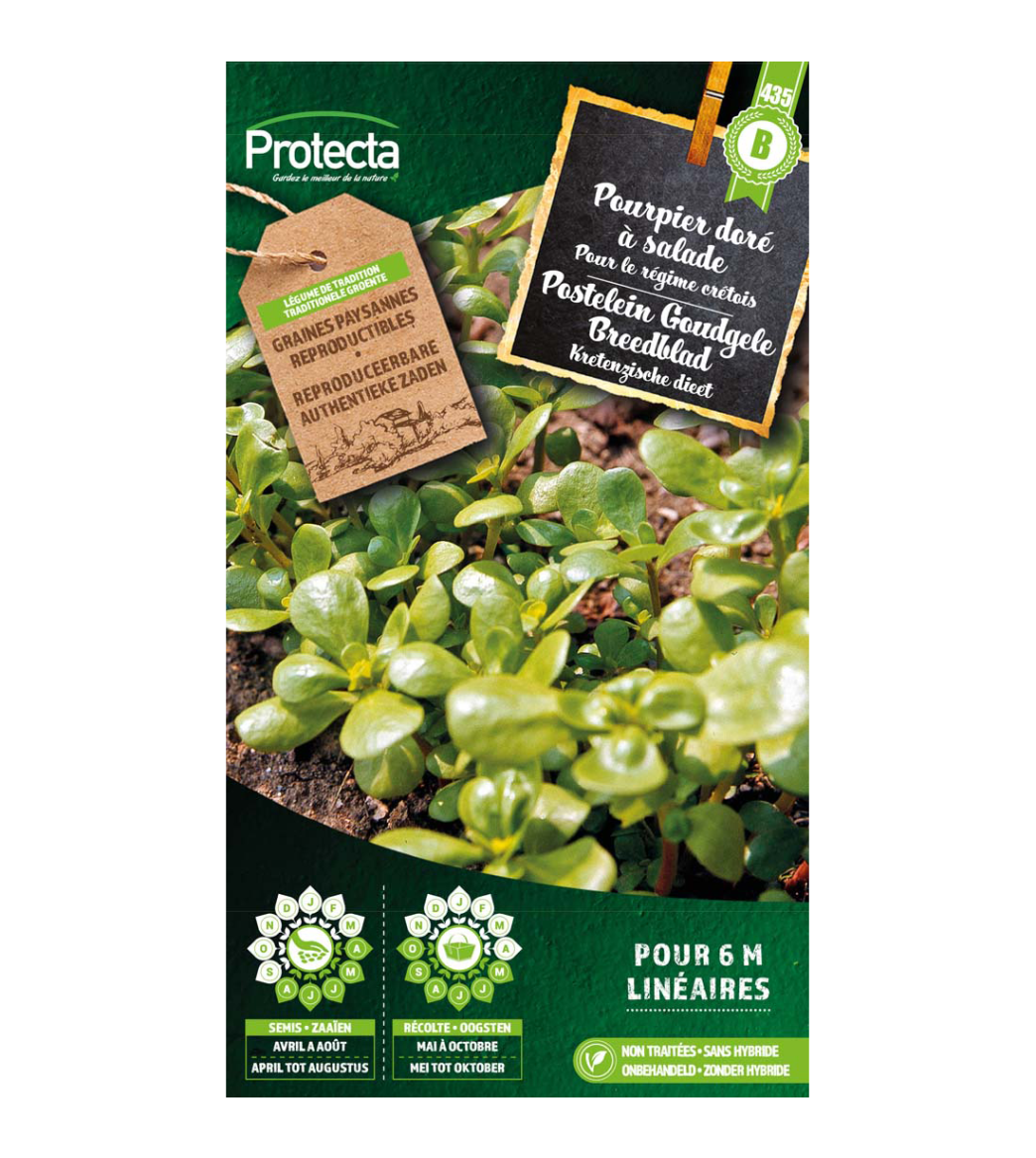 Postelein Goudgele Breedblad main product photo